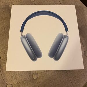‼️SOLD‼️ NWT Apple Headphones